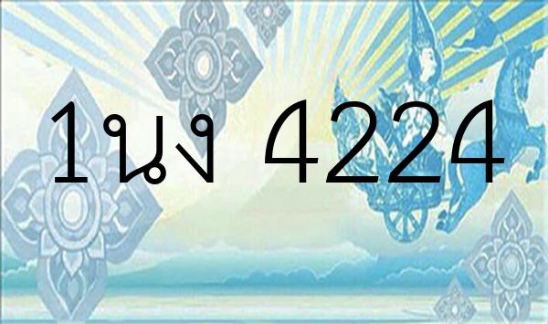 1นง 4224